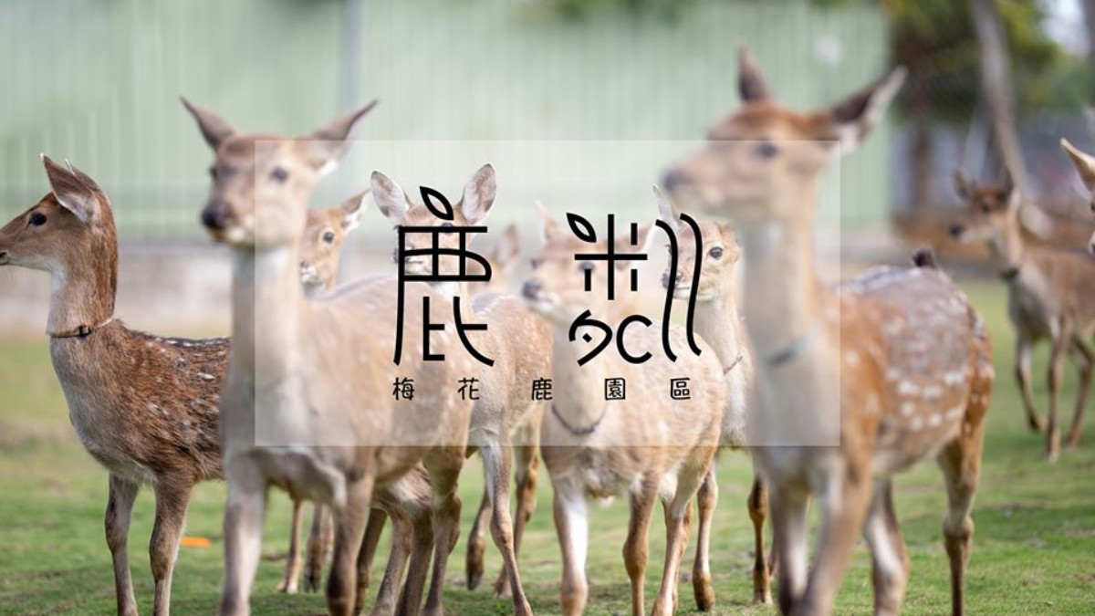 【小琉球】鹿粼梅花鹿園區