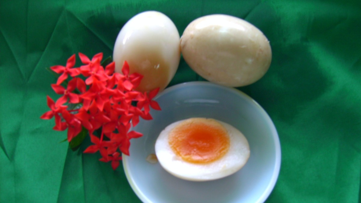 【台南官田】台南鴨莊休閒農場