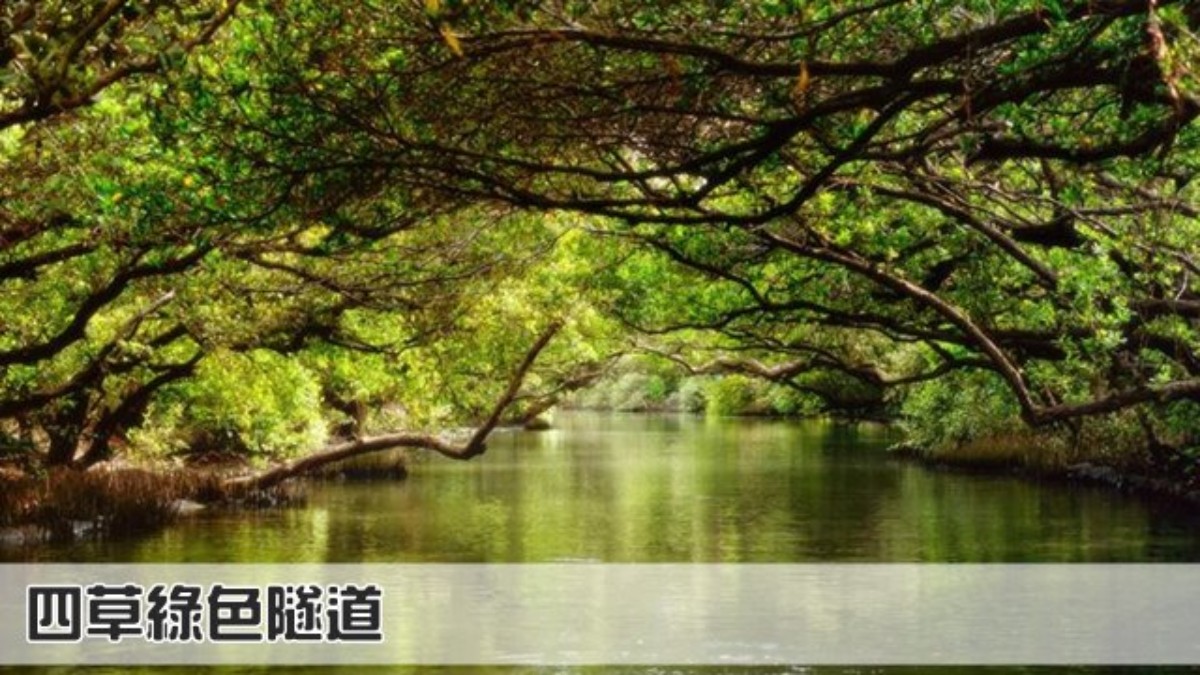 【台南】 四草綠色隧道船票